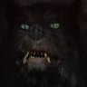 Profilbild von Gojira