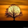 Bedri AYDAR's profile picture