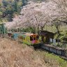 たっつん 的头像