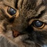 アルビダ profil fotoğrafı