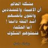 محمد هشام's profile picture