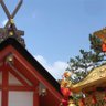 Фото профиля 嫋やかな日本人