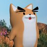 坂内友樹's profile picture
