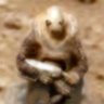 Profilbild von Andromeda Fedaisi