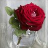 Фото профиля Eetedal Elbana