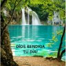 Carmen Garcia's profile picture