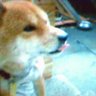 瀬島卓也 profil fotoğrafı