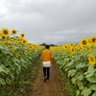 だいさん。 profil fotoğrafı