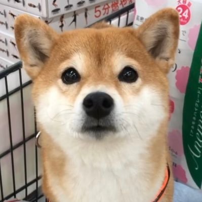 RLa7gXrQBYxIl3x's profile picture