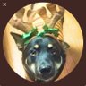 もりちゃん's profile picture
