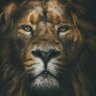 Я х нація profil fotoğrafı