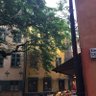 Alexander St 的头像