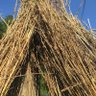 Фото профиля Interesting Ideas