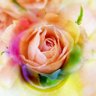 💎ハルト💎 profil fotoğrafı