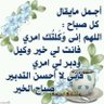 Фото профиля faisal Al-buhairy