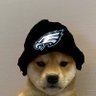 Druddigon 🦅's profile picture