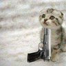 schrödinger profil fotoğrafı