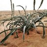 Фото профиля نايف