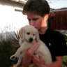 Spencer Shelley's profile picture
