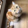 akm profil fotoğrafı