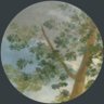Martia FG's profile picture