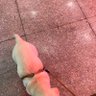 future me 的头像