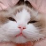 だん's profile picture