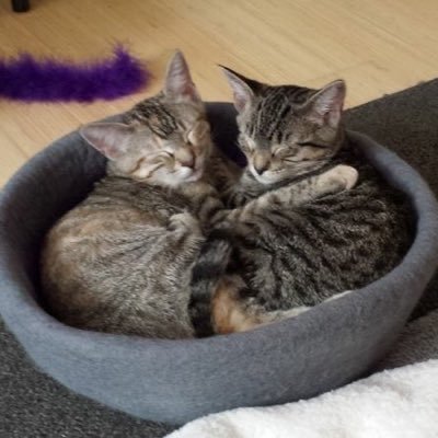 HazelandRemy's profile picture