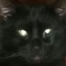 Profilbild von Terry