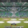 MSJ profil fotoğrafı