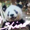Фото профиля ☆Shino☆