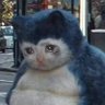 Victor's profile picture