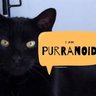 Фото профиля Purranoid’s Art Room