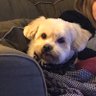 Andrew's profile picture