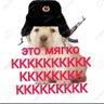 XD's profile picture