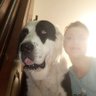 Maria Roscha's profile picture
