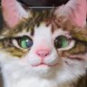 マキナ Makina's profile picture