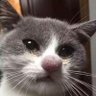 КоtiK profil fotoğrafı