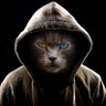 Profilbild von TrasT