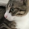 kz-gc profil fotoğrafı