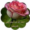 Profilbild von حليمه الشهري