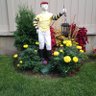 Liveoak Stables 的头像