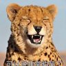Фото профиля superjiang75