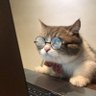 STYLES FISH's profile picture