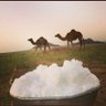 ابو مشاري العصيمي💙💙💙's profile picture