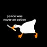 Keerthi Raj's profile picture