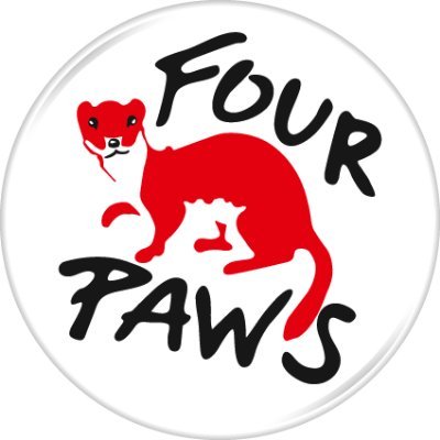 FOUR PAWS International's profile picture