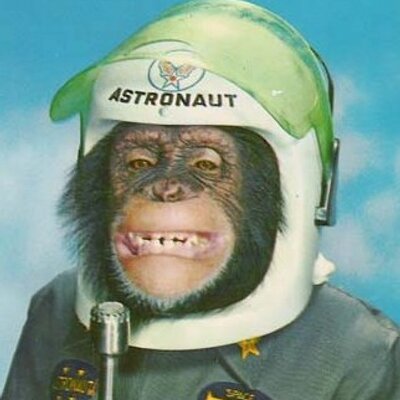 diego_san_jose's profile picture