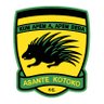 Фото профиля Asante Kotoko SC - 2X CAF CL Winners🥇