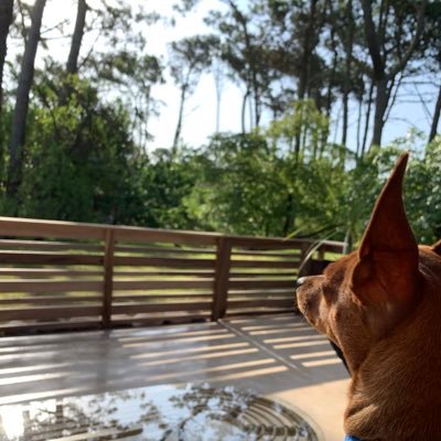 alejandro stoessel's profile picture
